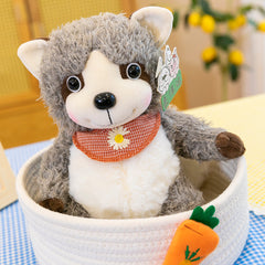 Raccoon Dolls Dolls Wholesale Plush Toys - Mubimart -  