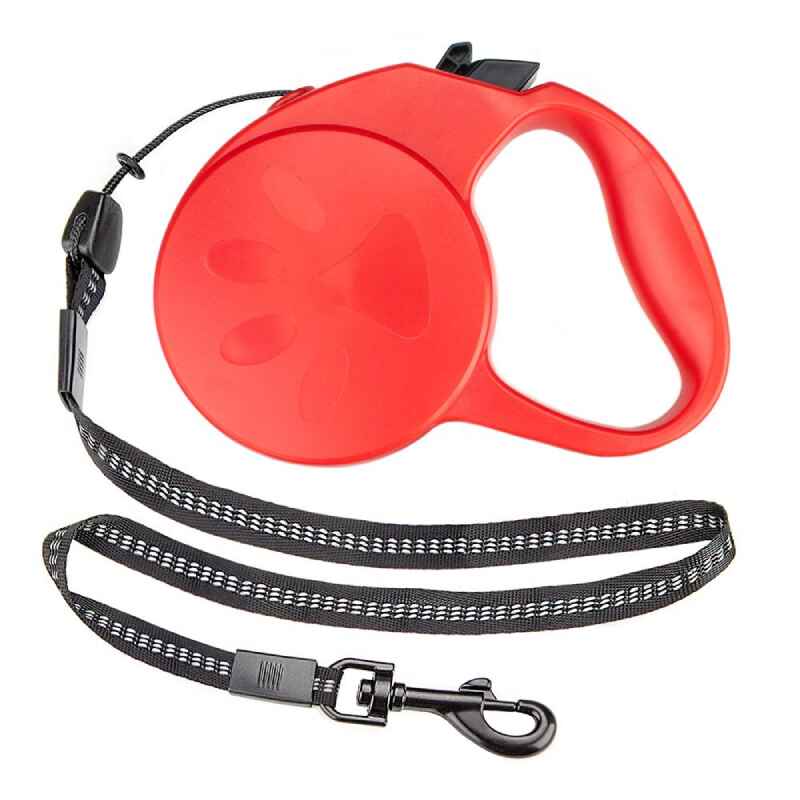 Retractable Dog Leashes