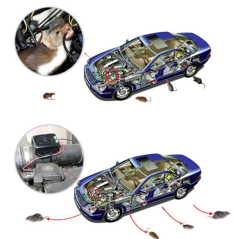 Rodent Repellent Animal Ultrasonic Rat Flashlight Deterrent-Trap 12V with LED Vehicle - Mubimart