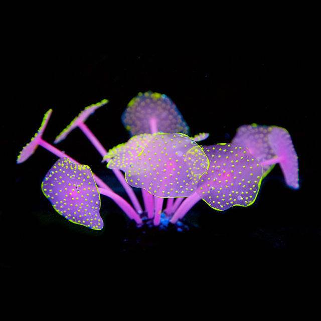 Silica Gel Aquarium For Artificial Aquarium Coral Plants - Mubimart