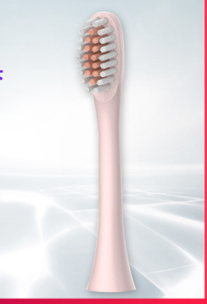 Simple And Creative Solid Color Electric Toothbrush Head - Mubimart -  