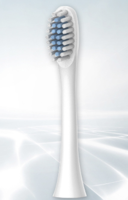 Simple And Creative Solid Color Electric Toothbrush Head - Mubimart -  