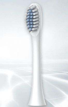 Simple And Creative Solid Color Electric Toothbrush Head - Mubimart