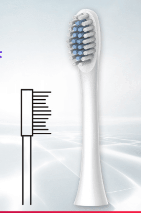 Simple And Creative Solid Color Electric Toothbrush Head - Mubimart