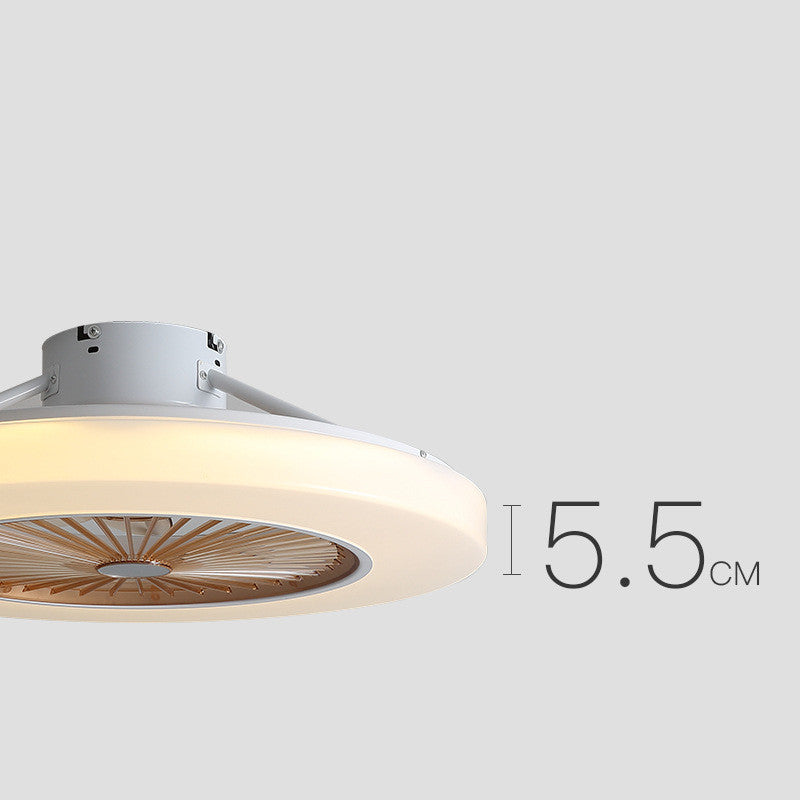 Simple Modern Household Fan Ceiling Lamp - Mubimart -  