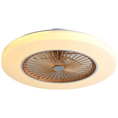 Simple Modern Household Fan Ceiling Lamp - Mubimart -  