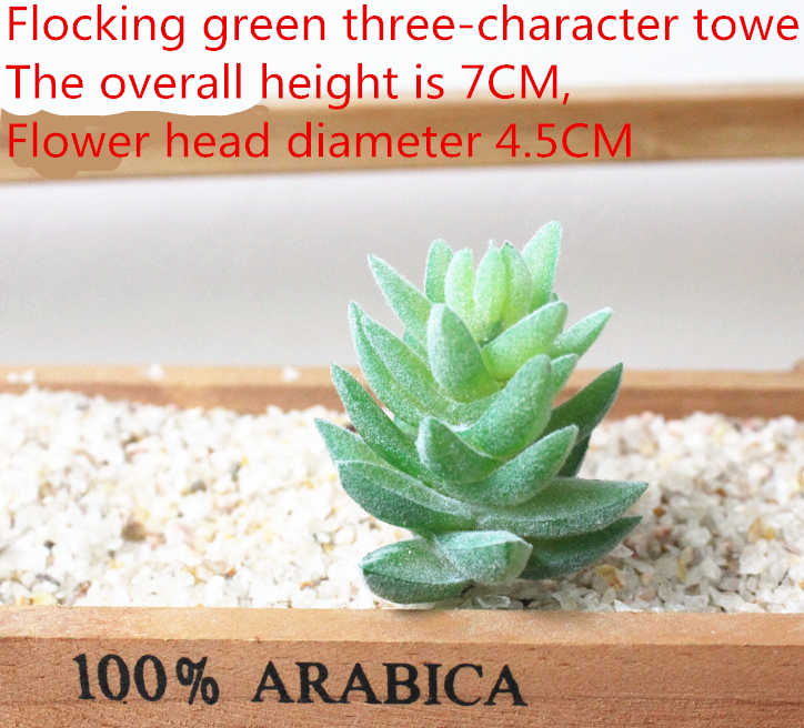 Simulated succulent plants - Mubimart -  