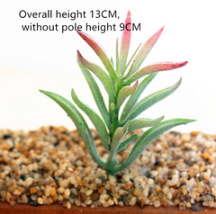 Simulated succulent plants - Mubimart - Artificial plant 