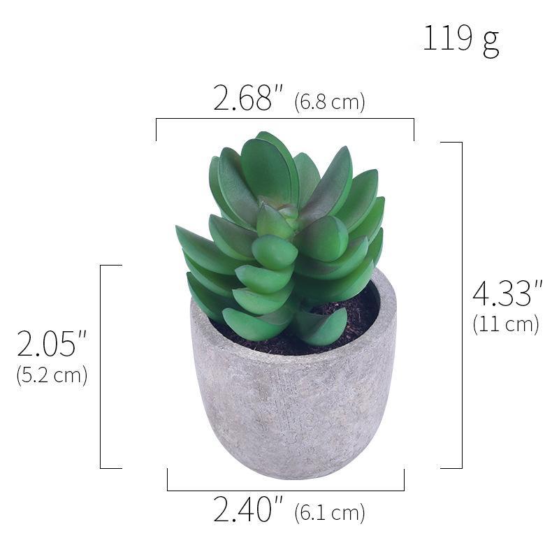 Simulation Of Succulent Potted Plants - Mubimart -  