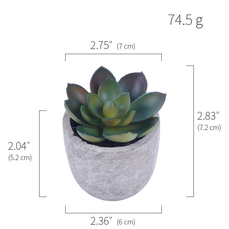 Simulation Of Succulent Potted Plants - Mubimart -  