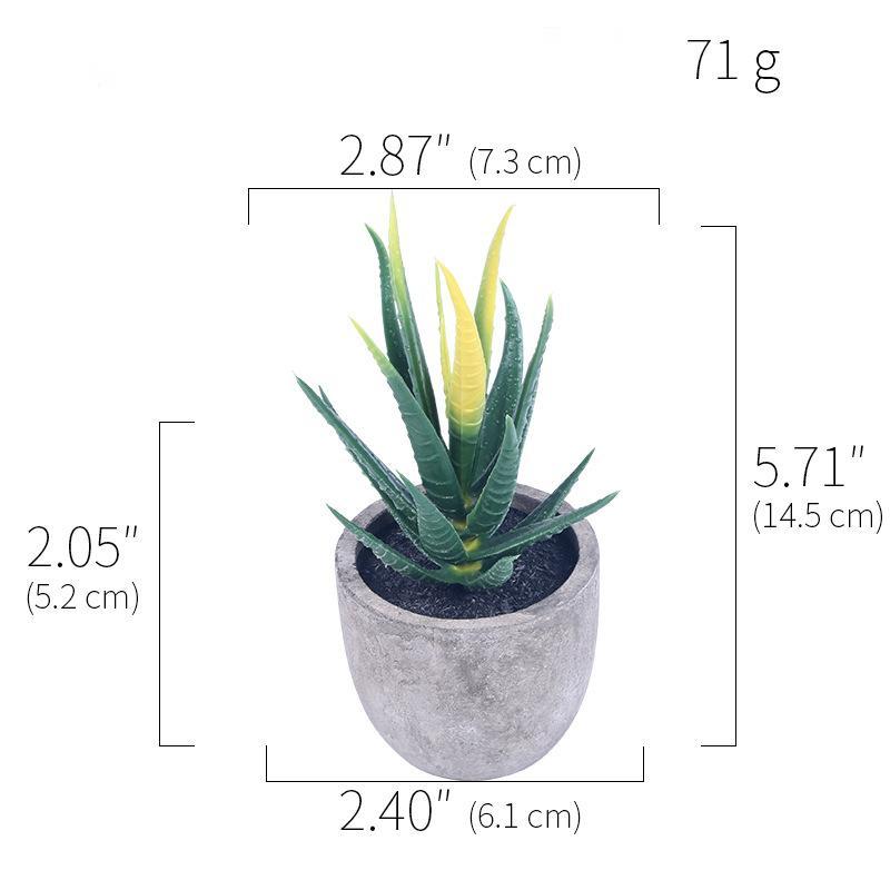 Simulation Of Succulent Potted Plants - Mubimart -  