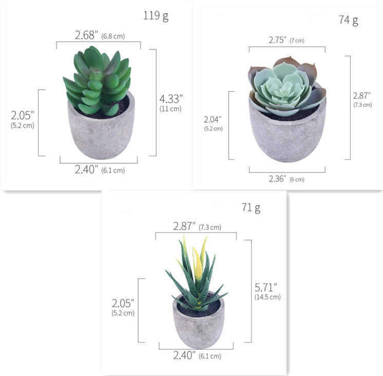 Simulation Of Succulent Potted Plants - Mubimart -  