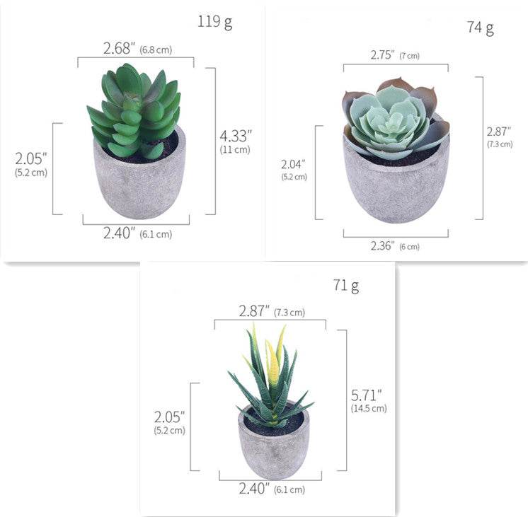 Simulation Of Succulent Potted Plants - Mubimart