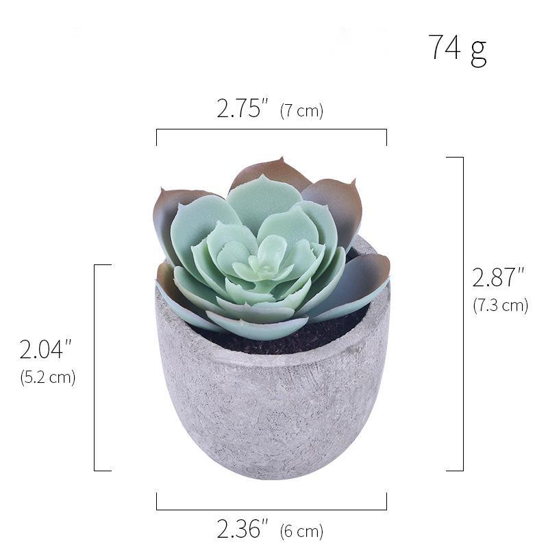 Simulation Of Succulent Potted Plants - Mubimart -  