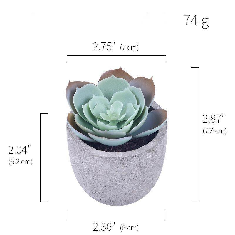 Simulation Of Succulent Potted Plants - Mubimart