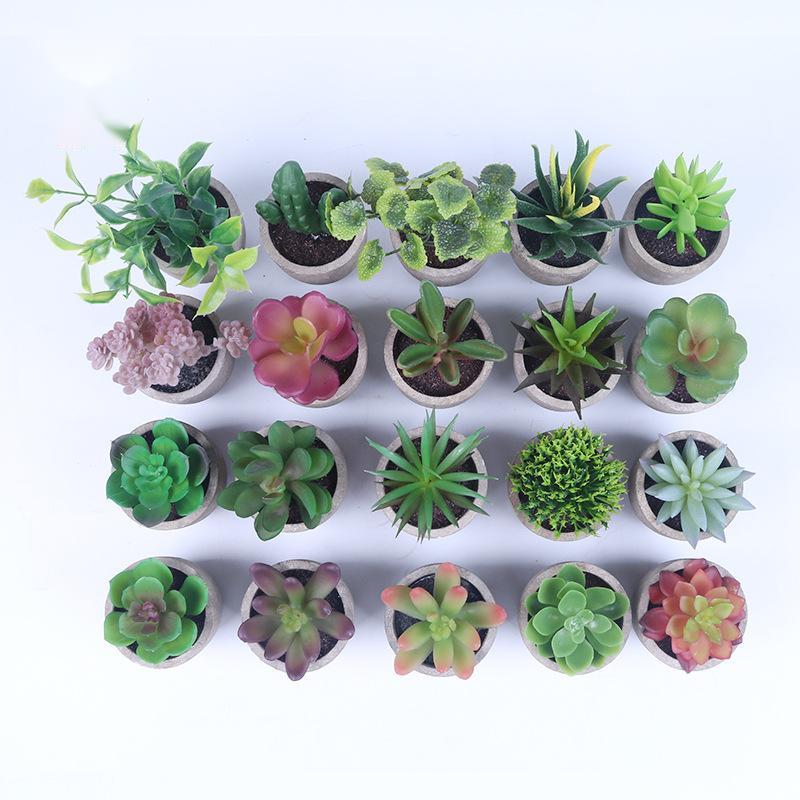 Simulation Of Succulent Potted Plants - Mubimart -  