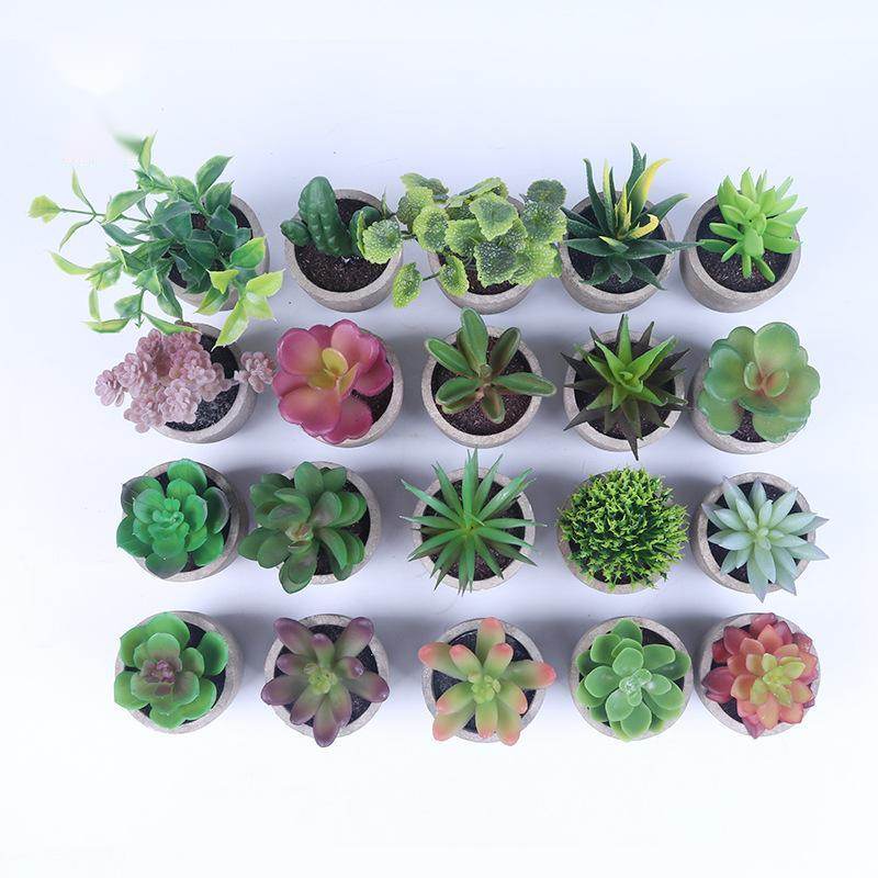 Simulation Of Succulent Potted Plants - Mubimart