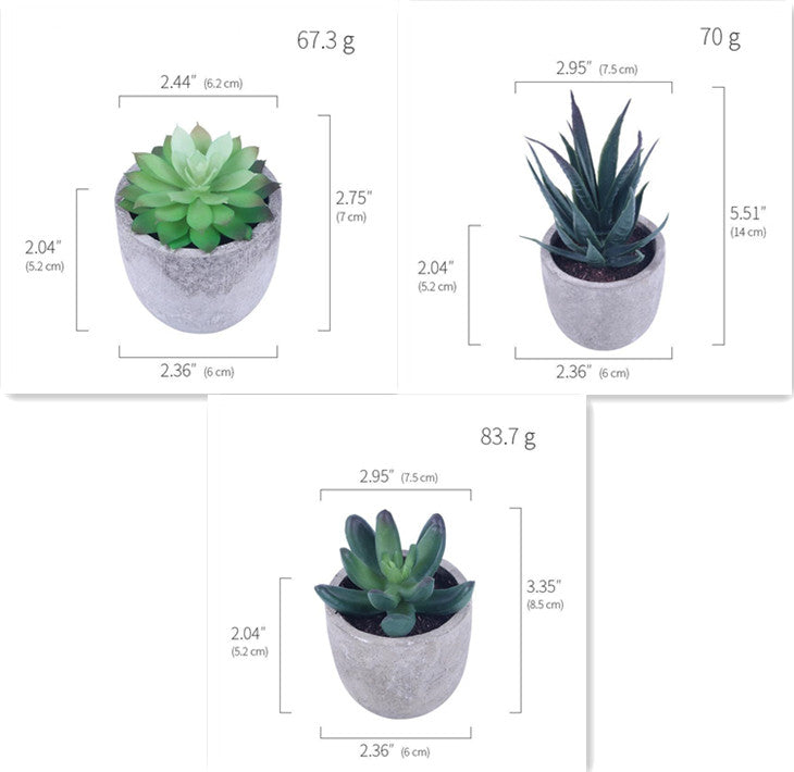 Simulation Of Succulent Potted Plants - Mubimart -  