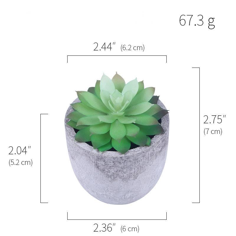 Simulation Of Succulent Potted Plants - Mubimart -  