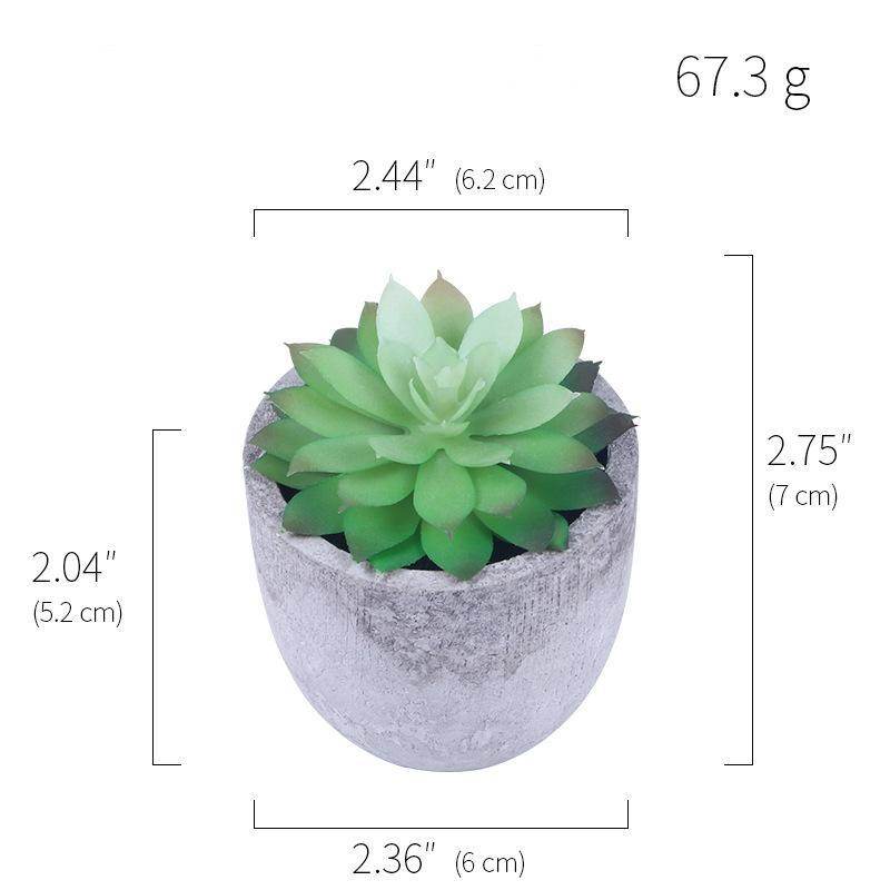 Simulation Of Succulent Potted Plants - Mubimart
