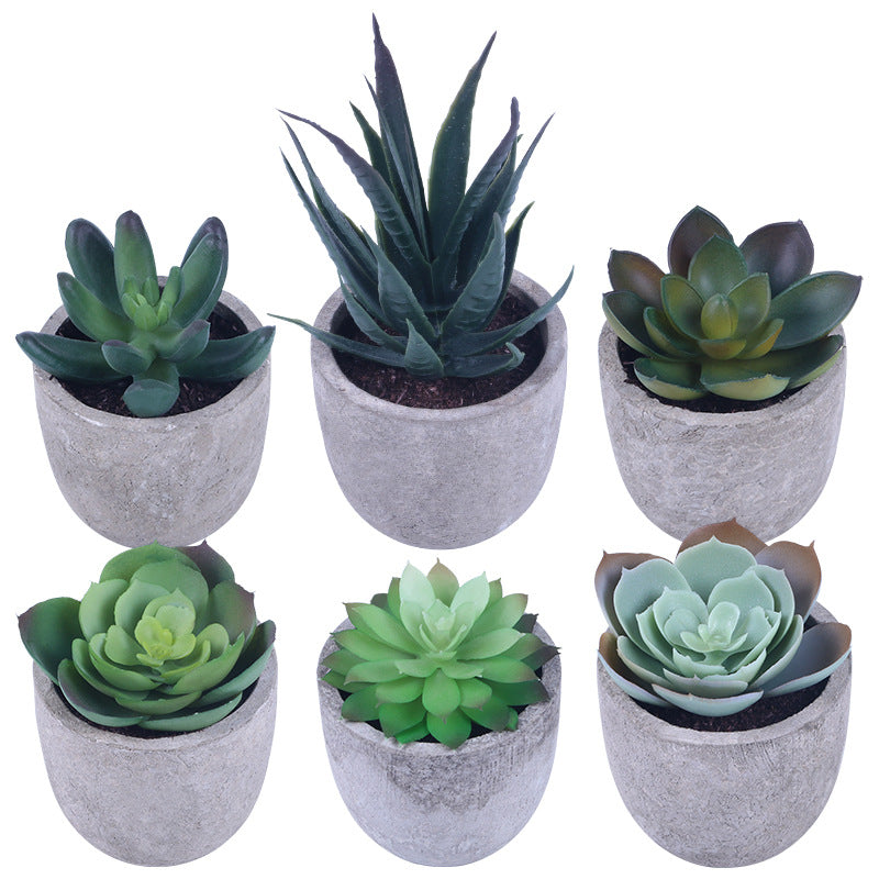 Simulation Of Succulent Potted Plants - Mubimart - Artificial plant 