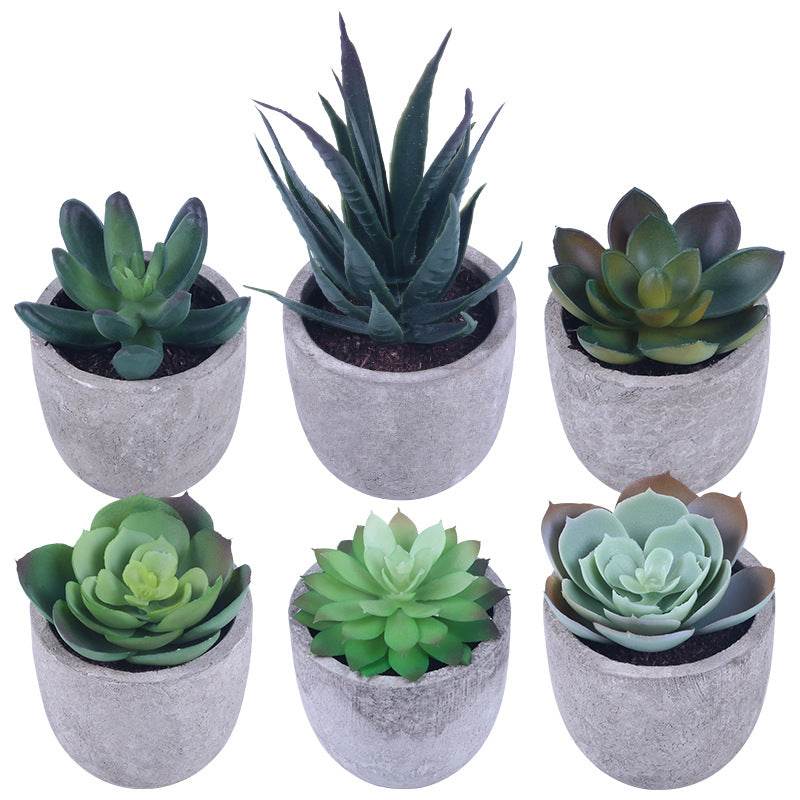 Simulation Of Succulent Potted Plants - Mubimart