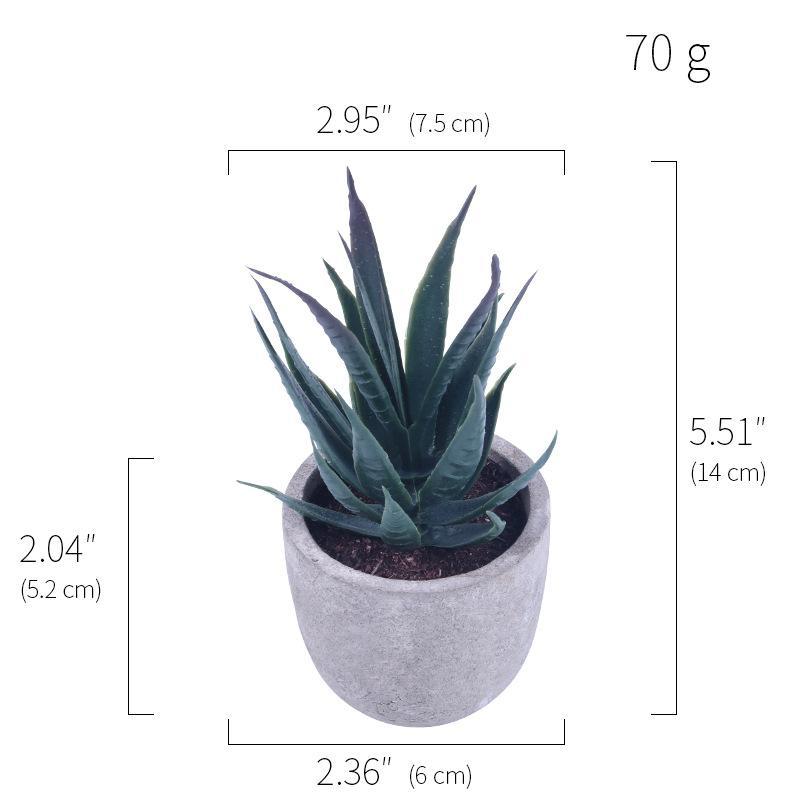 Simulation Of Succulent Potted Plants - Mubimart -  