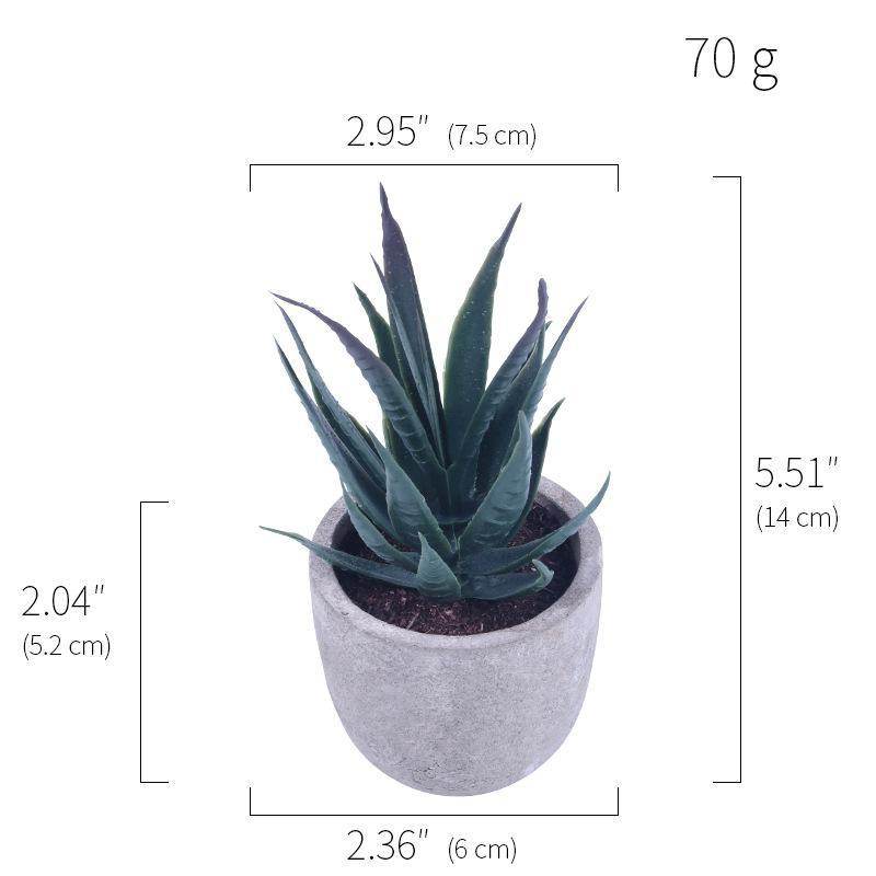 Simulation Of Succulent Potted Plants - Mubimart