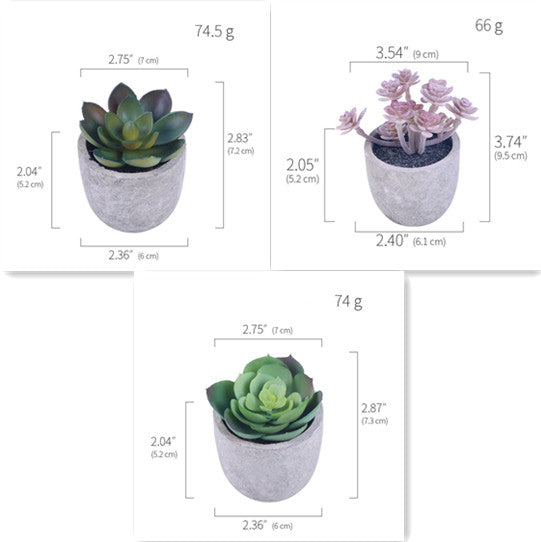 Simulation Of Succulent Potted Plants - Mubimart -  