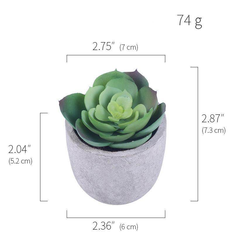 Simulation Of Succulent Potted Plants - Mubimart