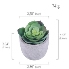 Simulation Of Succulent Potted Plants - Mubimart -  