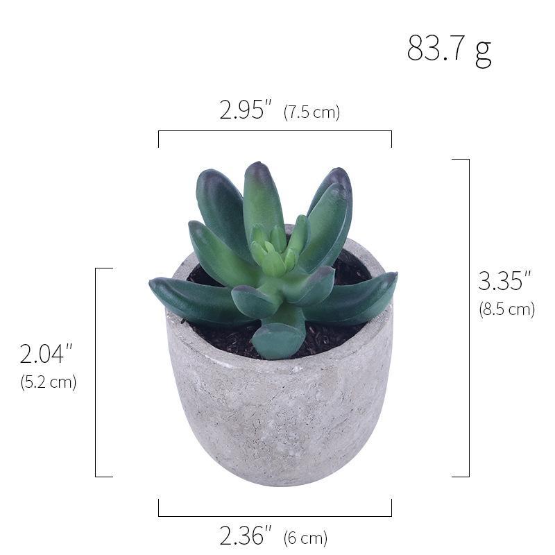 Simulation Of Succulent Potted Plants - Mubimart -  