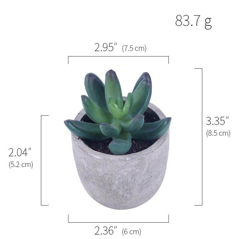 Simulation Of Succulent Potted Plants - Mubimart