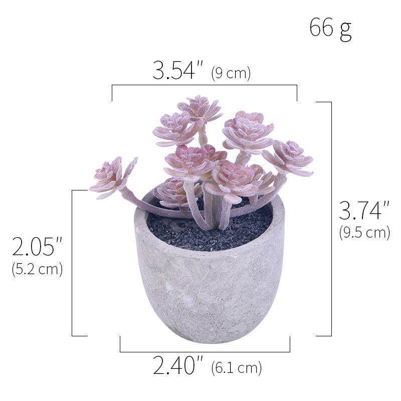 Simulation Of Succulent Potted Plants - Mubimart