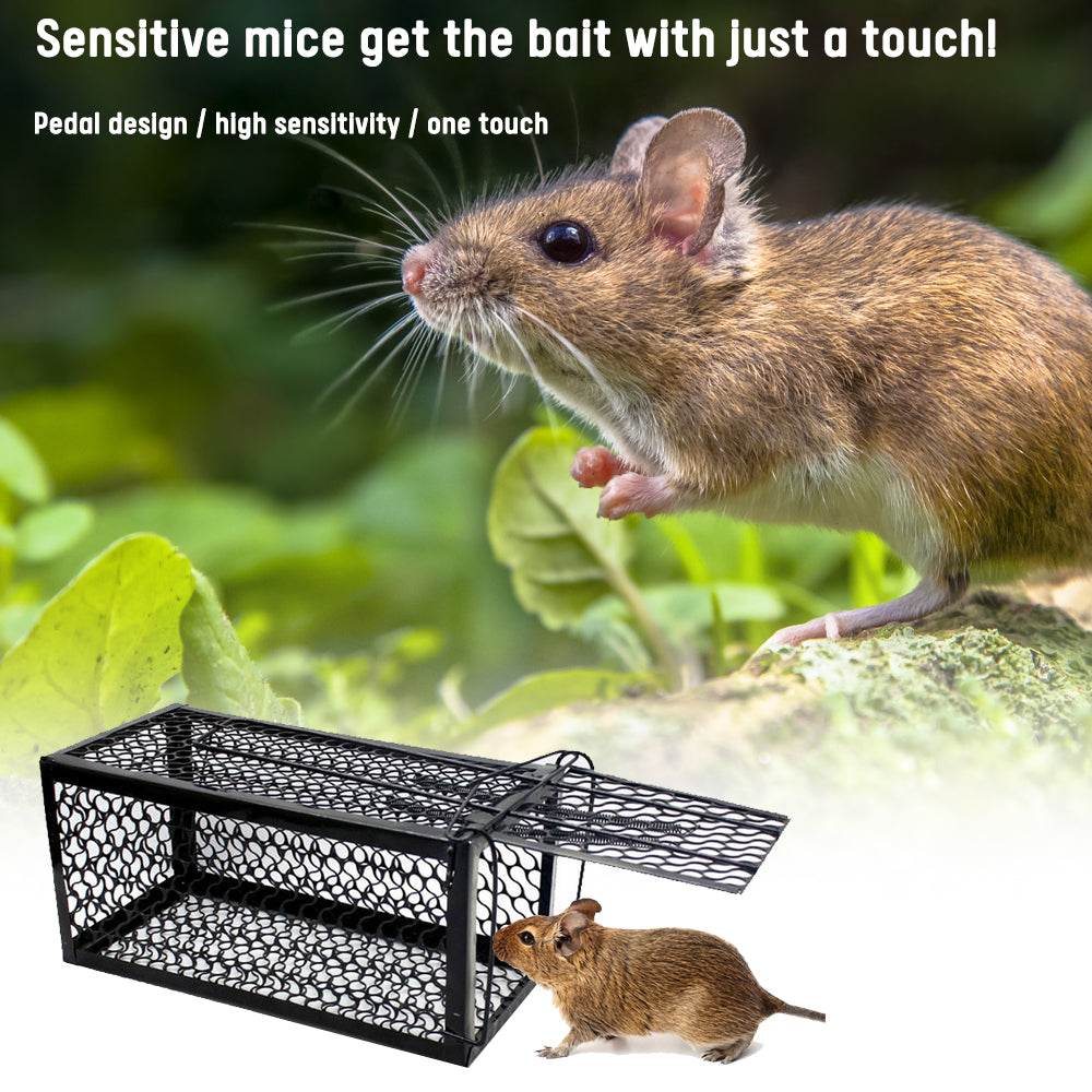 Small Black Cage Home Mouse Trap Mousetrap - Mubimart
