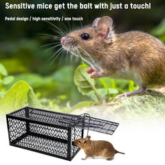 Small Black Cage Home Mouse Trap Mousetrap - Mubimart -  