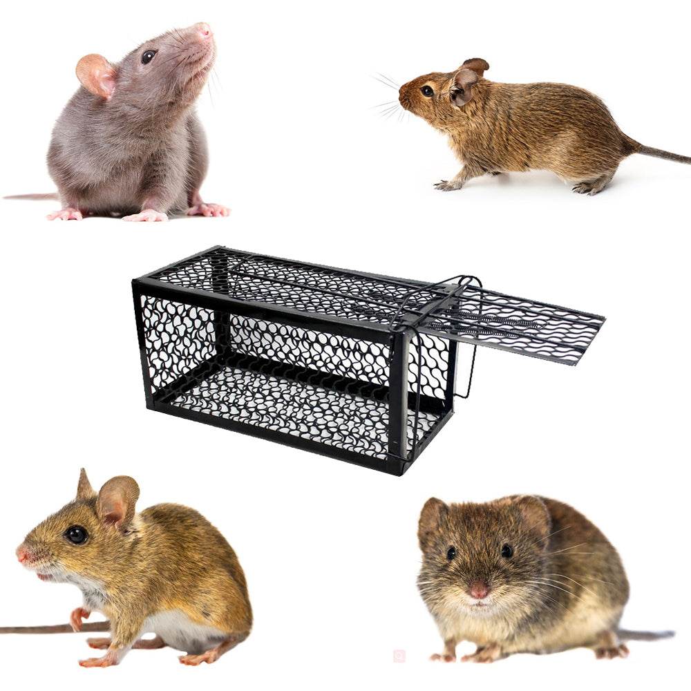 Small Black Cage Home Mouse Trap Mousetrap - Mubimart