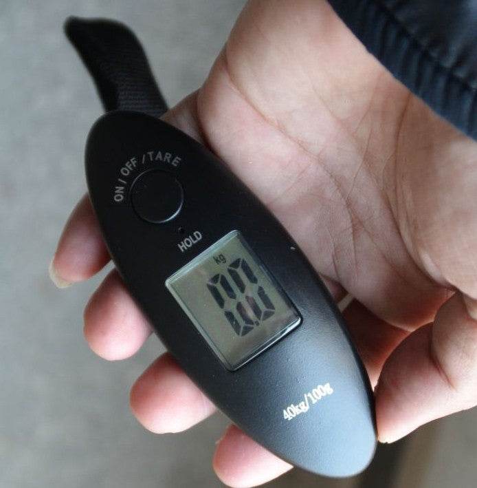 Small Portable Mini Electronic Travel Luggage Scale - Mubimart