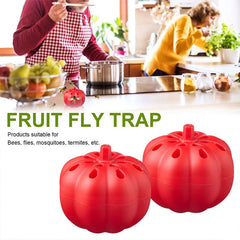 Small Pumpkin Fruit Fly Trap Fly Insect Trap - Mubimart -  