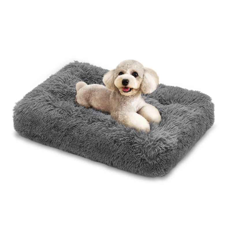 Small Dog Bed