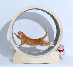 Special Toys For Cat Treadmill Roller - Mubimart - Cat Toys 