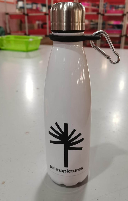 Stainless Steel Water Bottle - Mubimart
