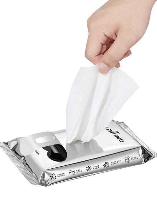 Sterilizing Private Parts Hyaluronic Acid Wet Toilet Paper Towels - Mubimart