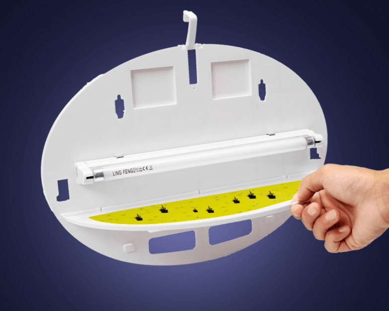 Sticky Trap Type Mosquito And Fly Killer Commercial Food Factory Fly Killer - Mubimart