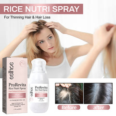 Strong Repair Rice Dense Hair Spray Hair Follicle Hair Root Anti-drop - Mubimart - Hair Spary 