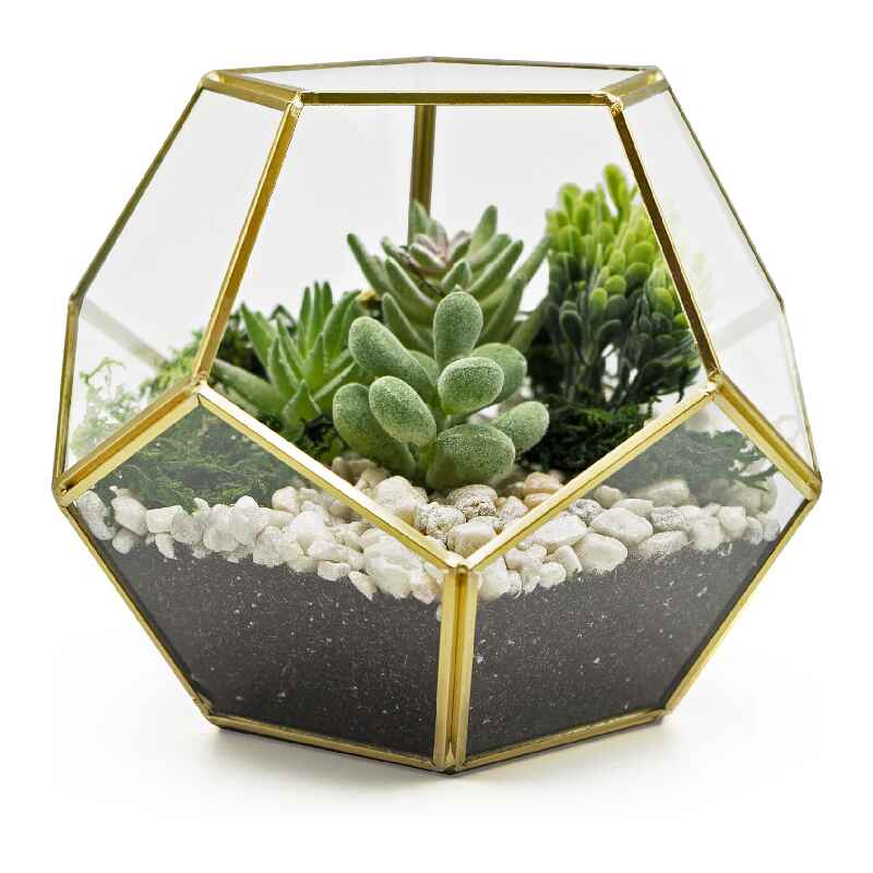 Terrarium Planters