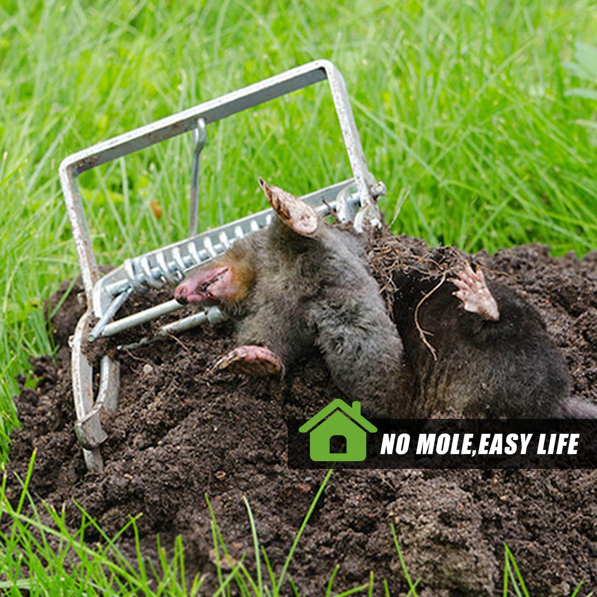 The Mole Rat Farm Rat Trap - Mubimart