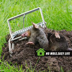 The Mole Rat Farm Rat Trap - Mubimart - Mouse Trap 