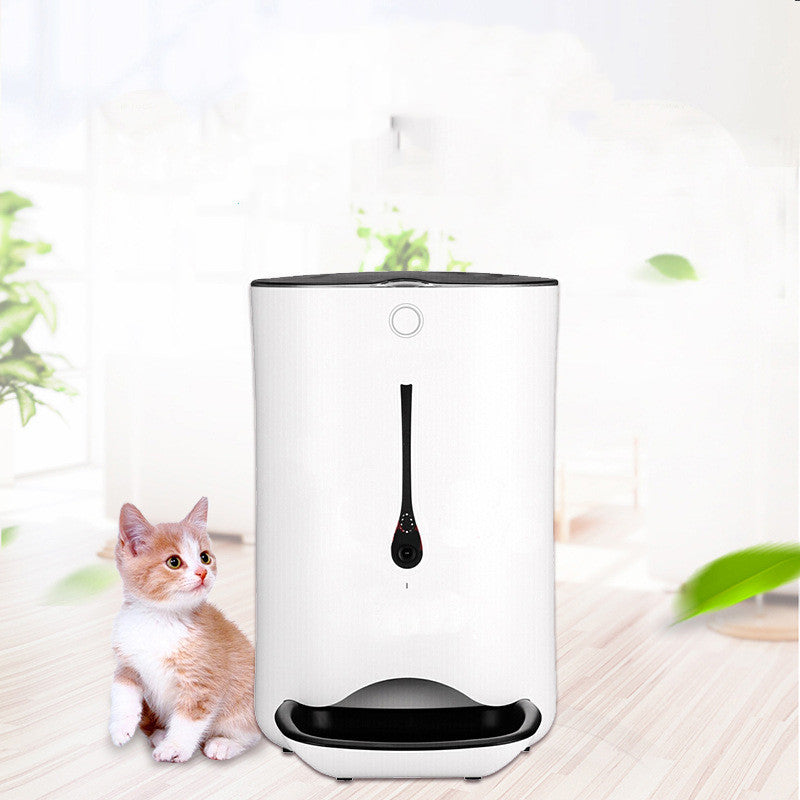 Timed pet video automatic feeder - Mubimart -  