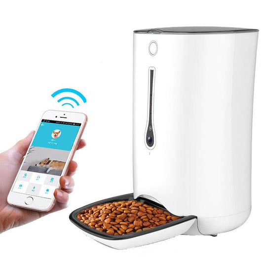 Timed pet video automatic feeder - Mubimart
